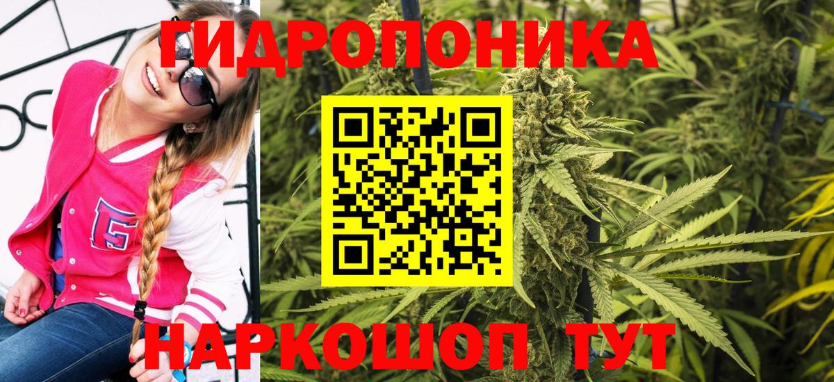 Бошки Шишки Ganja  Вход с VPN  Выборг  МАРИХУАНА White Widow  Бошки Шишки VHQ 